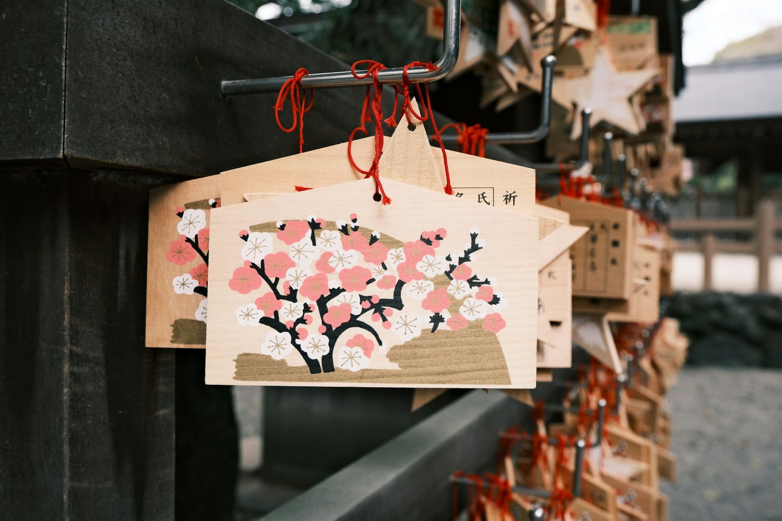 �����i�F�聙